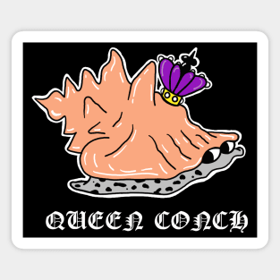 Queen Conch Snail Magnet